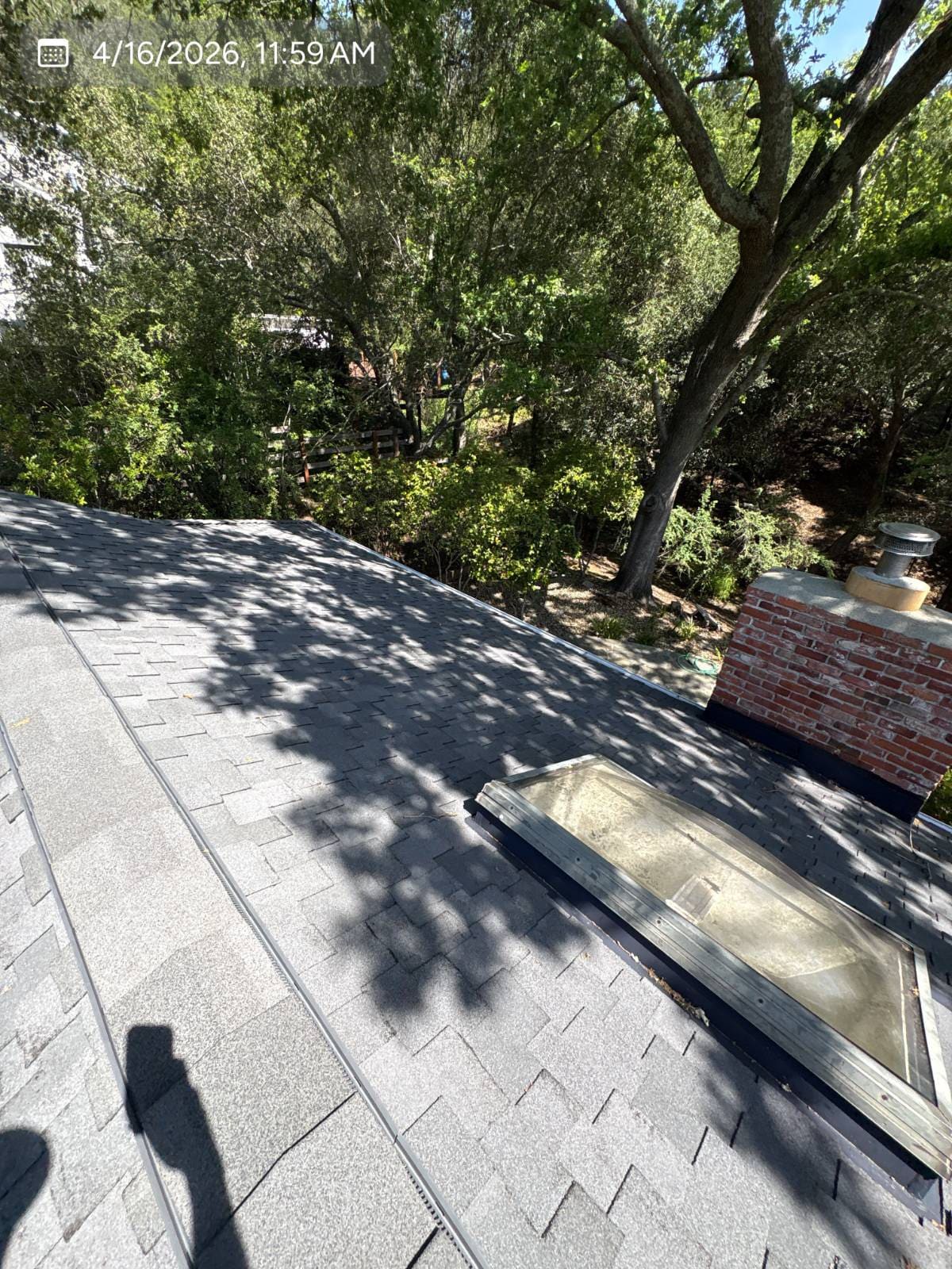 CertainTeed Presidential Solaris in Charcoal Black — roof replacement, Orinda (photo 6)