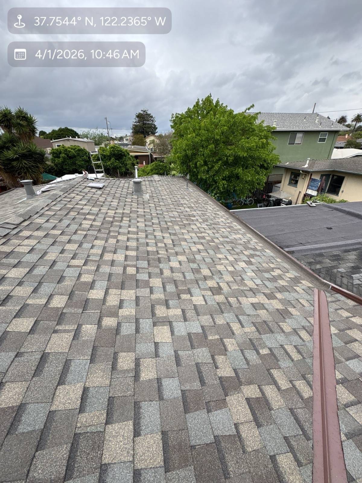 CertainTeed Landmark Pro Solaris in Max Def Weathered — roof replacement, Alameda (photo 7)