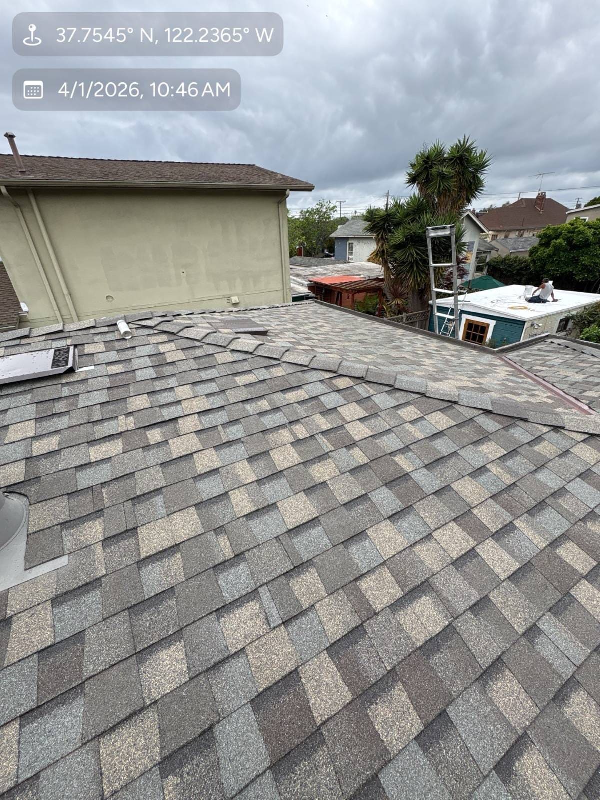 CertainTeed Landmark Pro Solaris in Max Def Weathered — roof replacement, Alameda (photo 6)