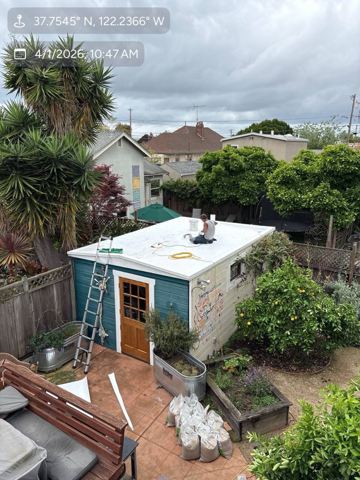 CertainTeed Landmark Pro Solaris in Max Def Weathered — roof replacement, Alameda (photo 5)
