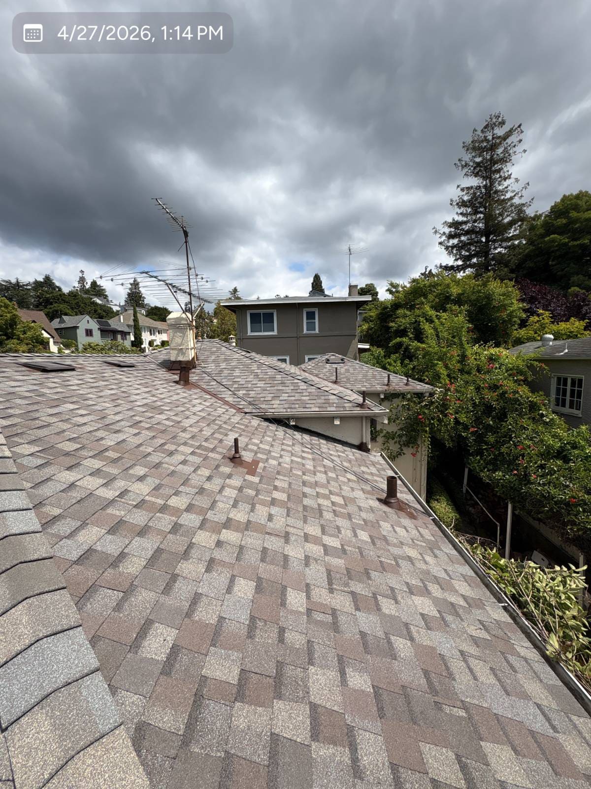 CertainTeed Landmark Solaris in Weathered Wood — roof replacement, Oakland (photo 6)