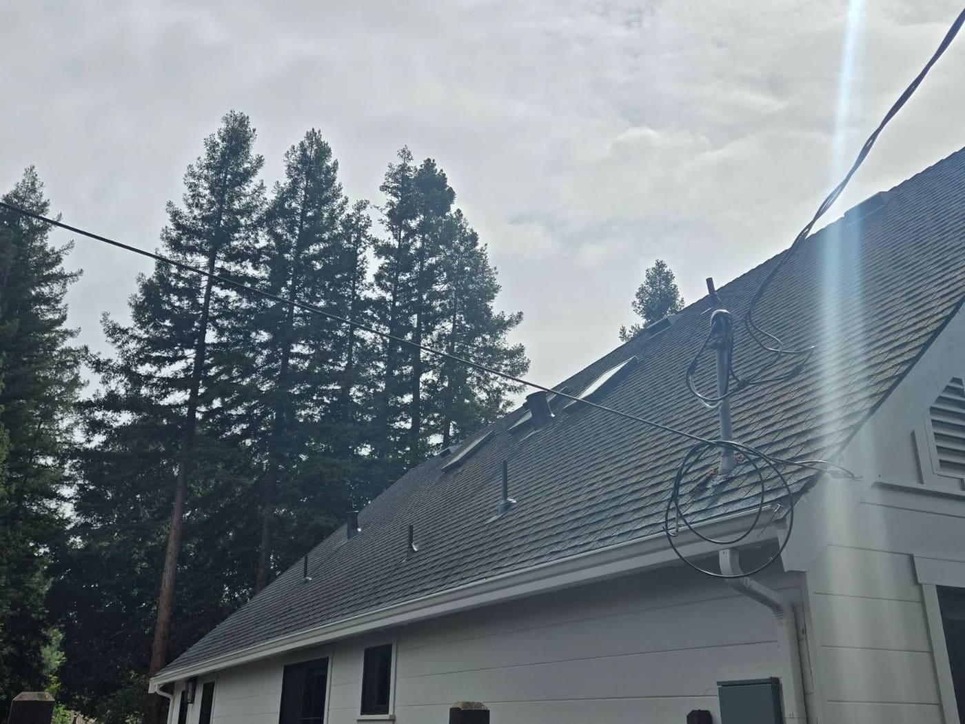 CertainTeed Presidential TL Solaris in Charcoal Black — roof replacement, Alamo (photo 4)