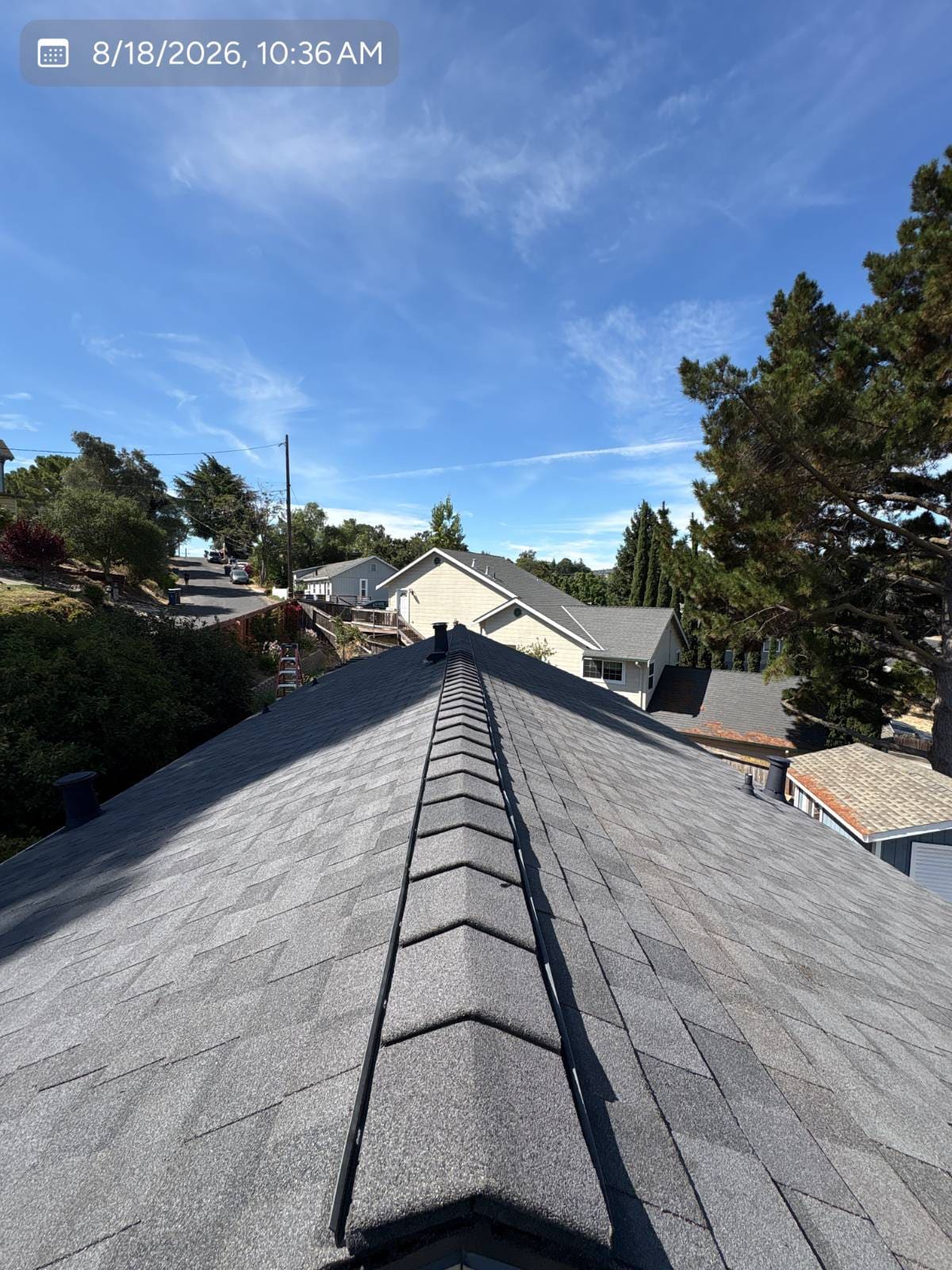 CertainTeed Landmark Pro Solaris in Max Def Moire Black — roof replacement, Martinez (photo 7)