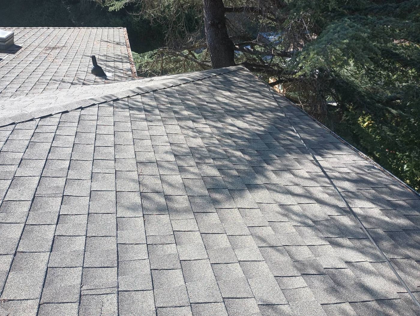 CertainTeed Landmark Pro Solaris in Max Def Resawn Shake — roof replacement, El Sobrante (photo 3)