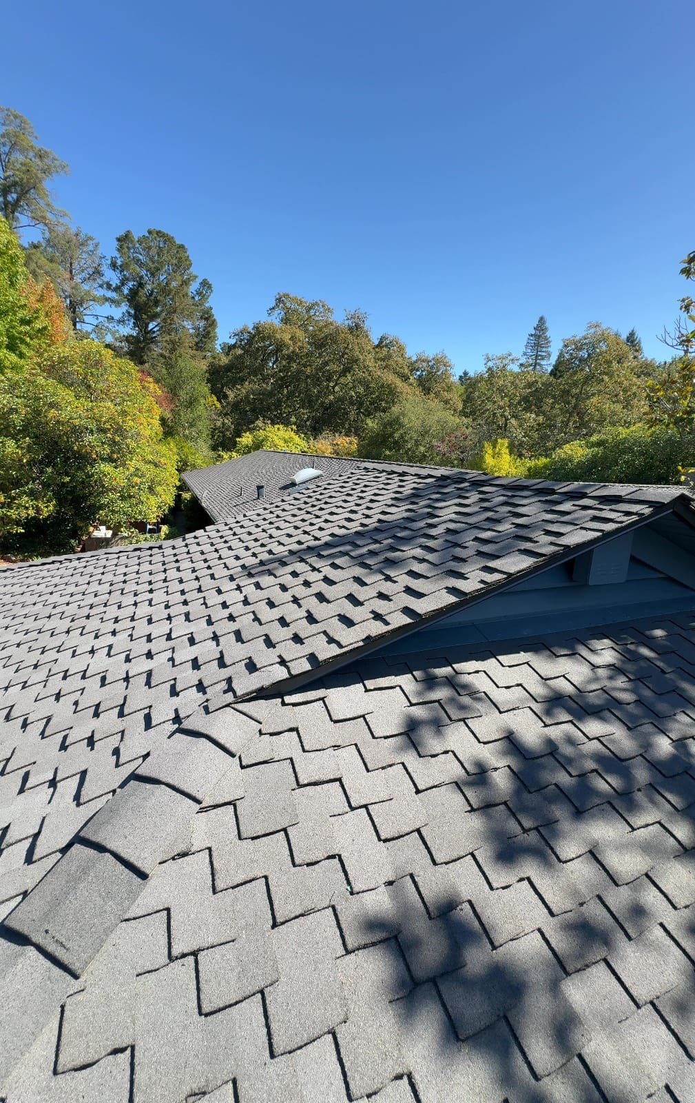 CertainTeed Presidential TL Solaris in Charcoal Black — roof replacement, Orinda (photo 4)