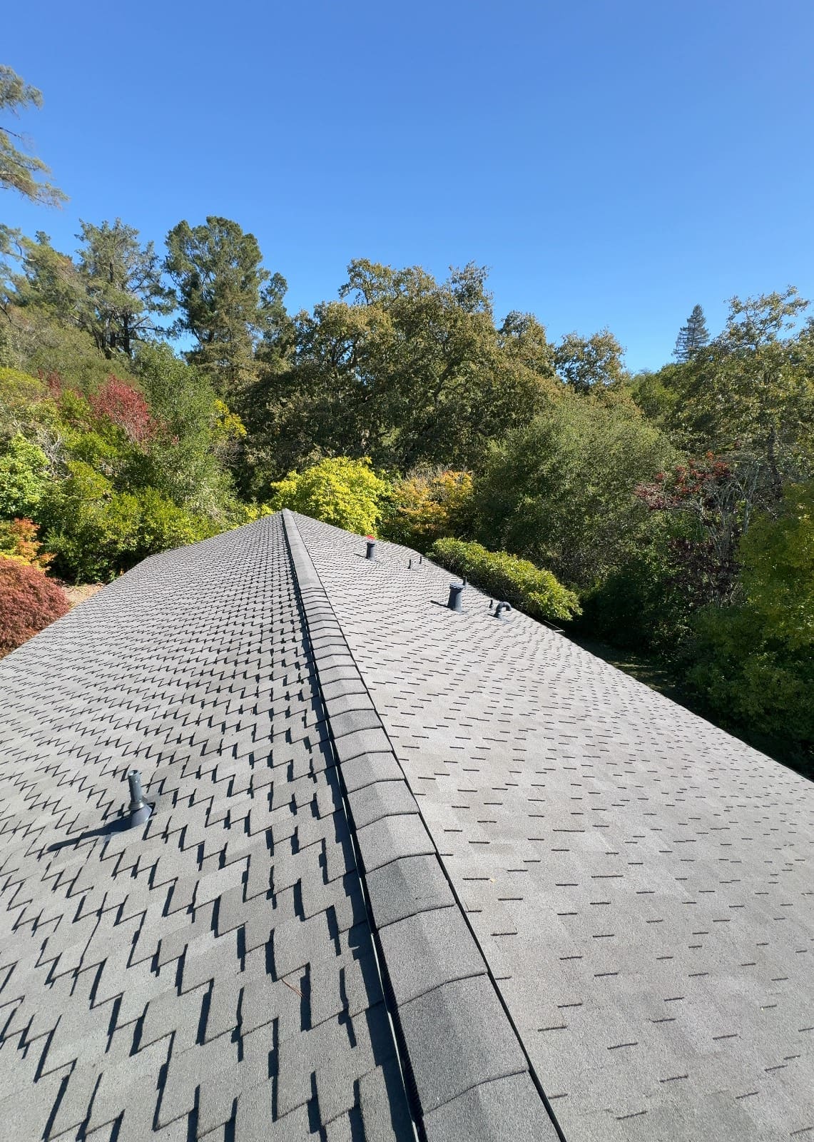 CertainTeed Presidential TL Solaris in Charcoal Black — roof replacement, Orinda (photo 11)