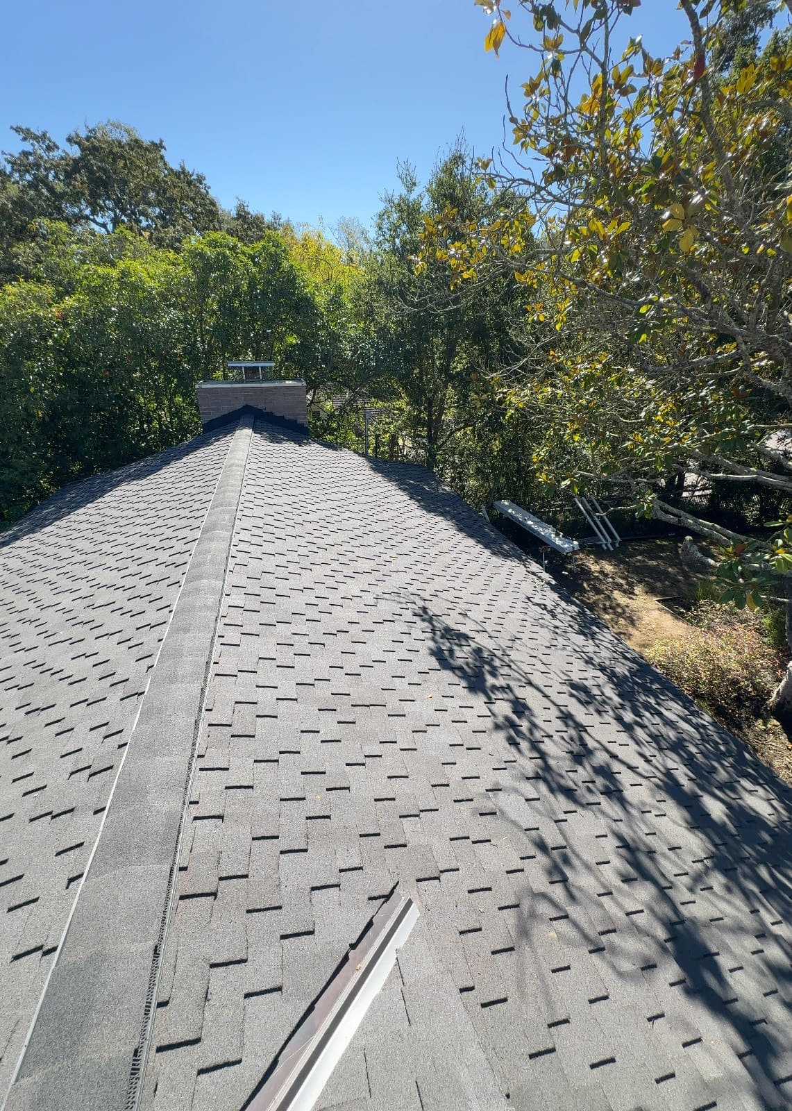 CertainTeed Presidential TL Solaris in Charcoal Black — roof replacement, Orinda (photo 10)