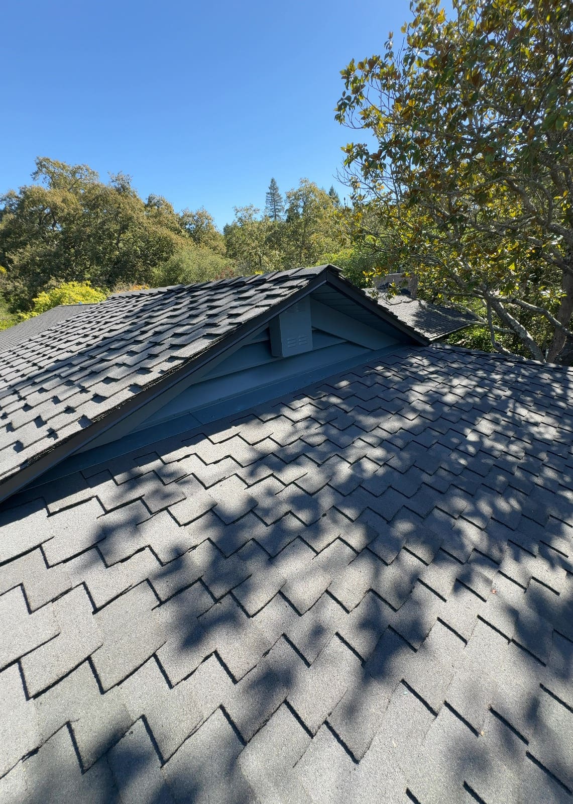 CertainTeed Presidential TL Solaris in Charcoal Black — roof replacement, Orinda (photo 2)