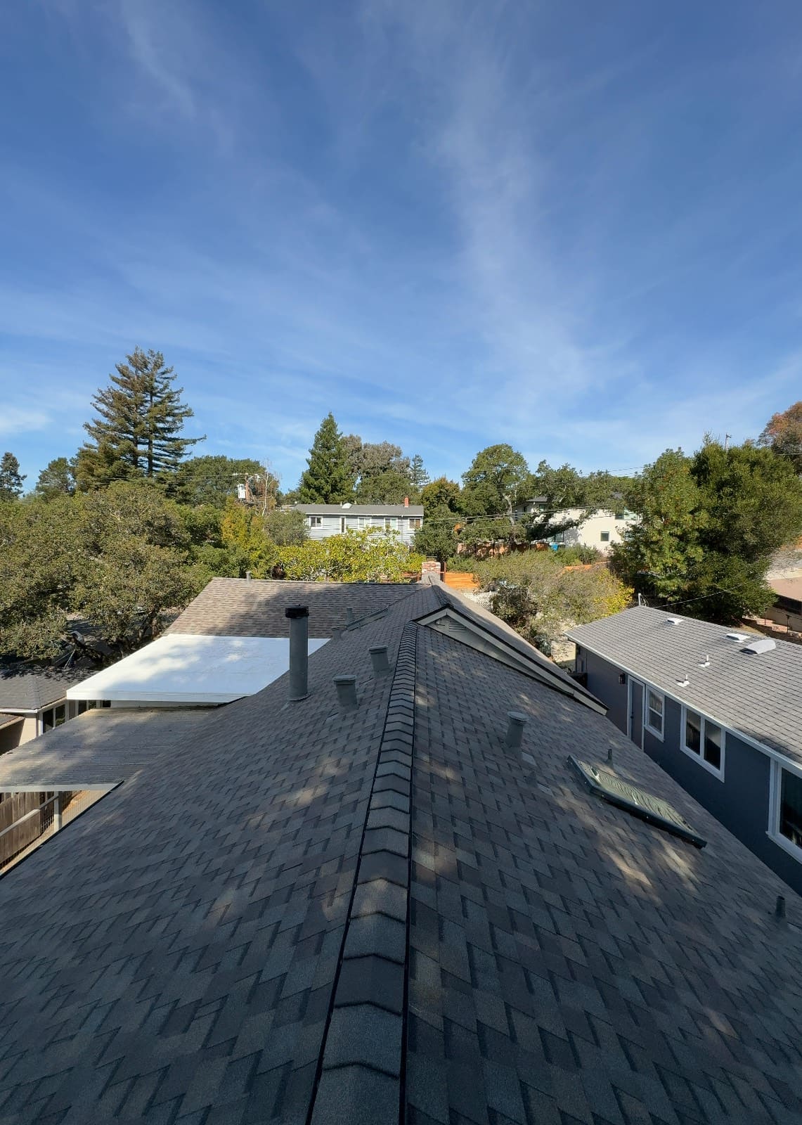 CertainTeed Landmark Pro Solaris in Max Def Weathered Wood — roof replacement & skylight installation, Belmont (photo 7)
