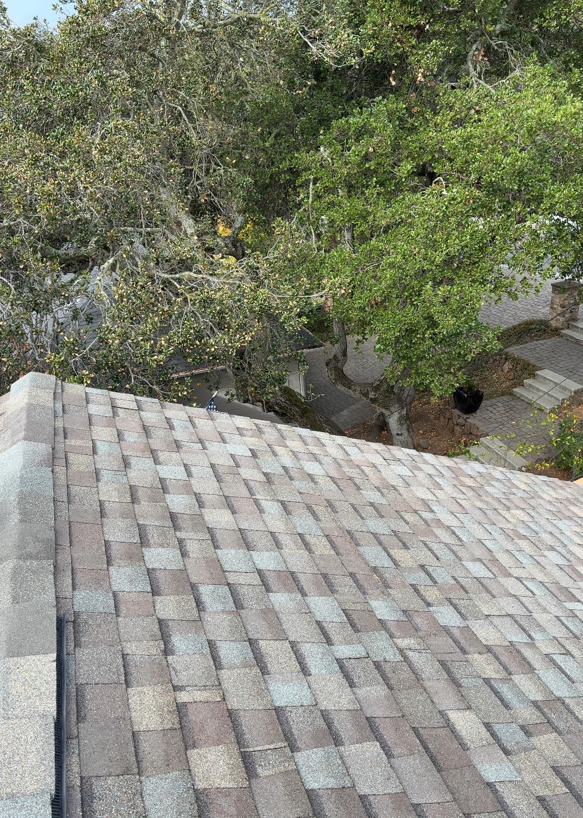 CertainTeed Landmark Pro Solaris in Max Def Weathered Wood — roof replacement & skylight installation, Belmont (photo 18)