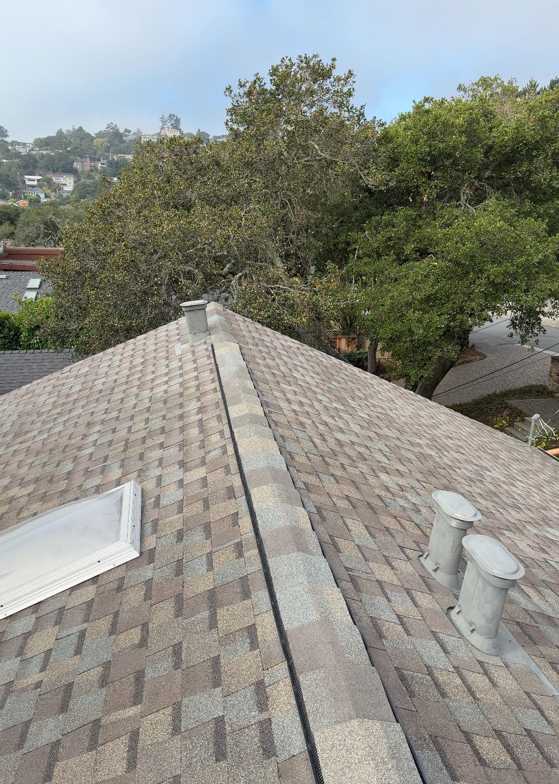 CertainTeed Landmark Pro Solaris in Max Def Weathered Wood — roof replacement & skylight installation, Belmont