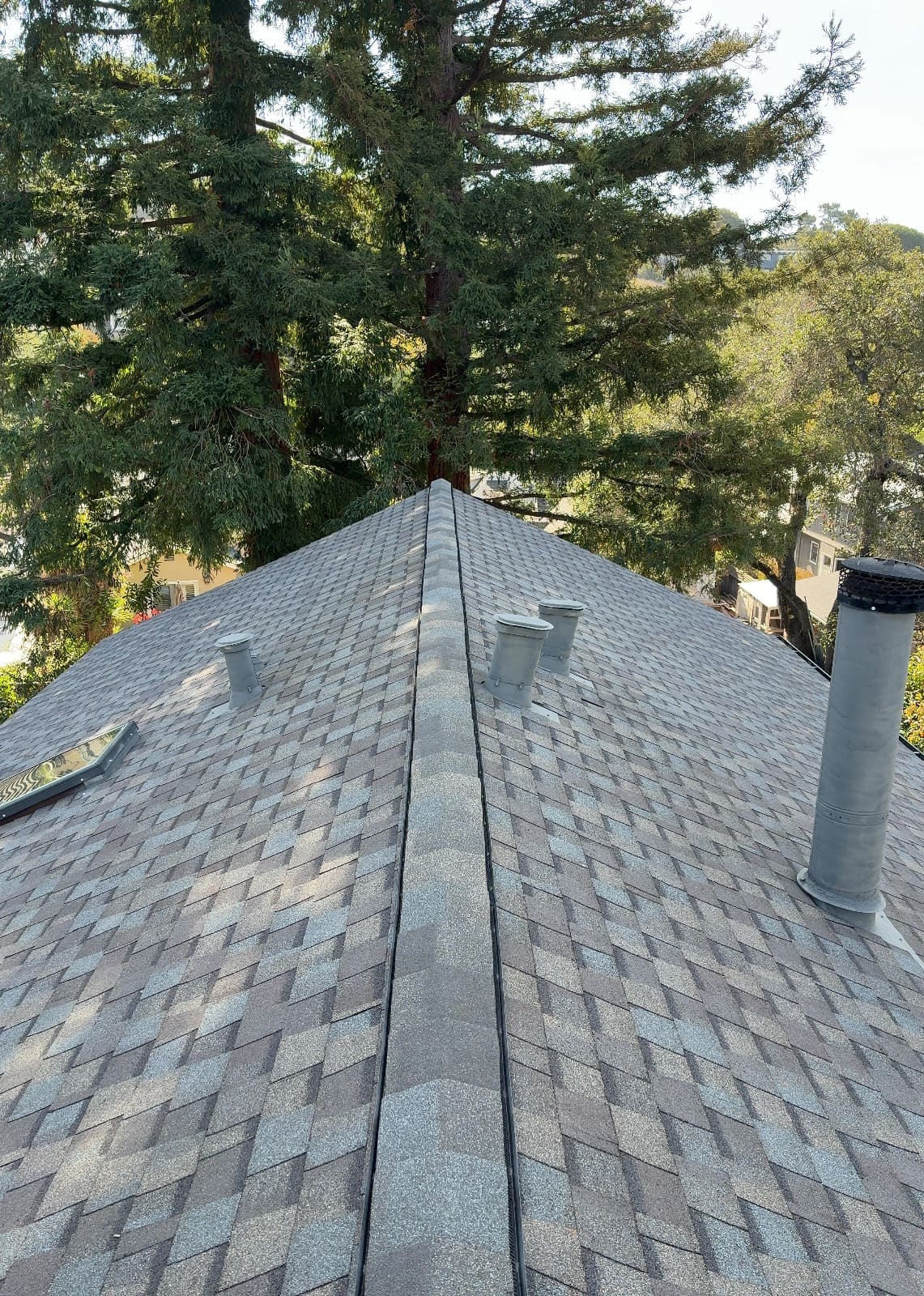 CertainTeed Landmark Pro Solaris in Max Def Weathered Wood — roof replacement & skylight installation, Belmont (photo 5)