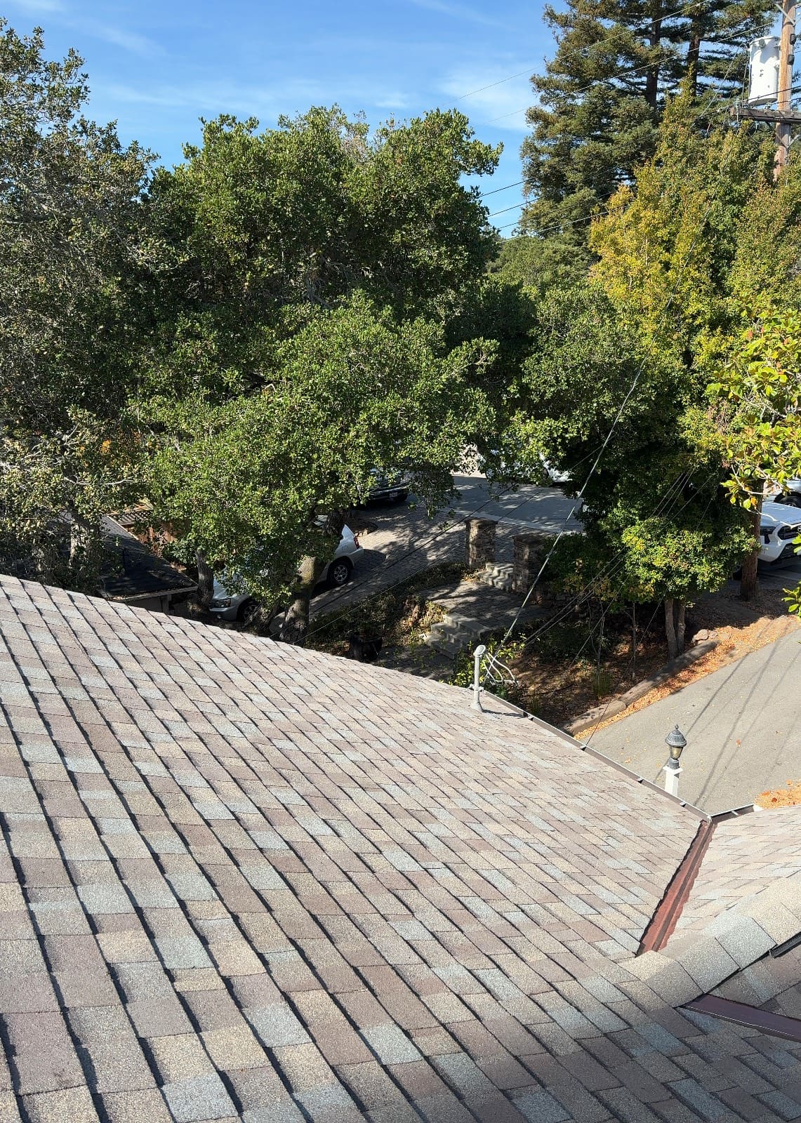 CertainTeed Landmark Pro Solaris in Max Def Weathered Wood — roof replacement & skylight installation, Belmont (photo 3)