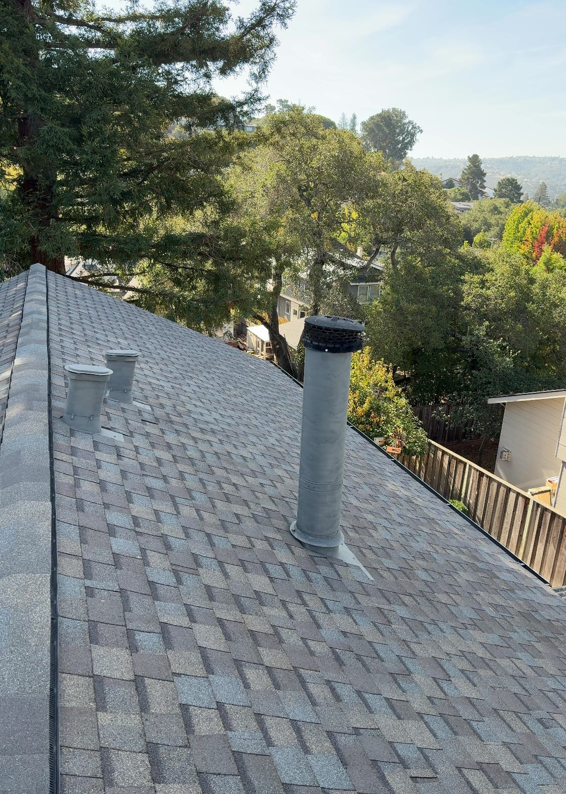 CertainTeed Landmark Pro Solaris in Max Def Weathered Wood — roof replacement & skylight installation, Belmont (photo 10)