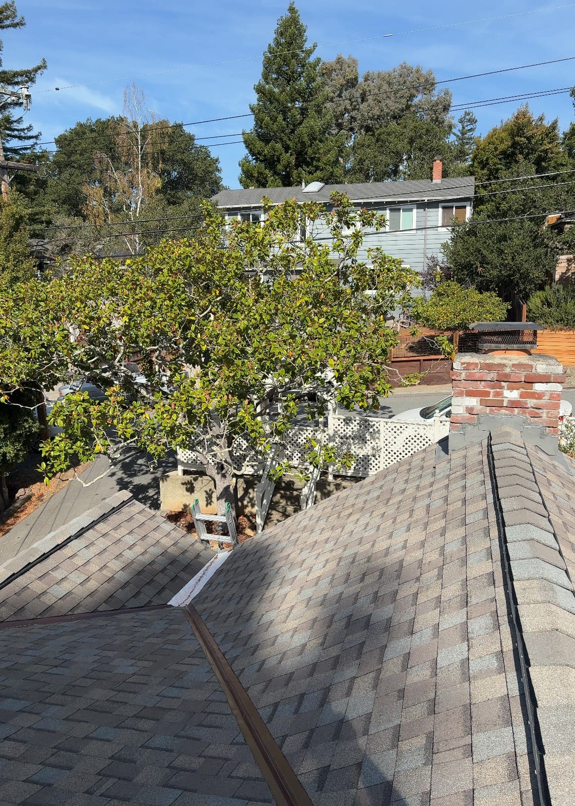 CertainTeed Landmark Pro Solaris in Max Def Weathered Wood — roof replacement & skylight installation, Belmont (photo 6)