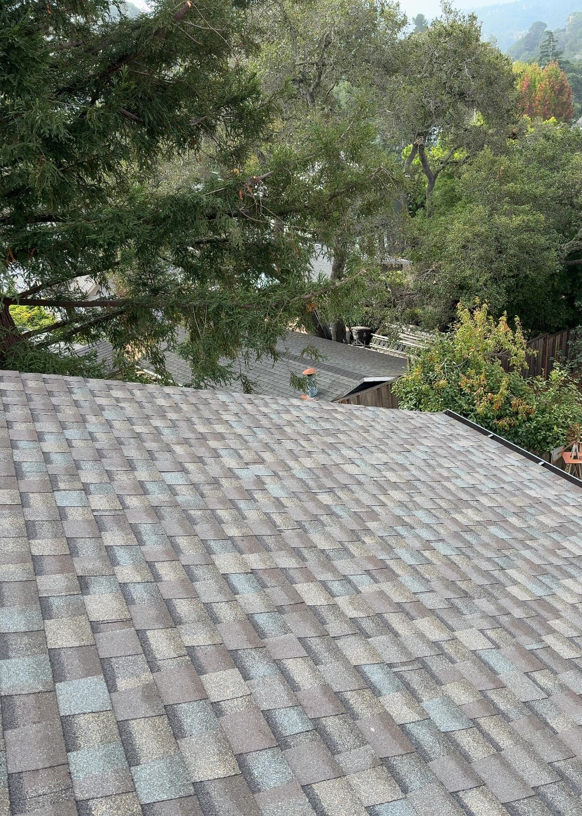 CertainTeed Landmark Pro Solaris in Max Def Weathered Wood — roof replacement & skylight installation, Belmont (photo 17)