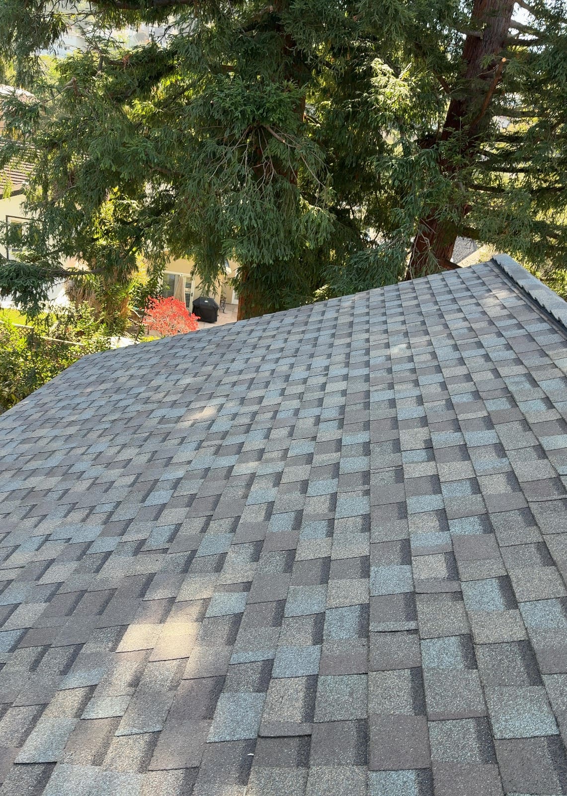 CertainTeed Landmark Pro Solaris in Max Def Weathered Wood — roof replacement & skylight installation, Belmont (photo 12)
