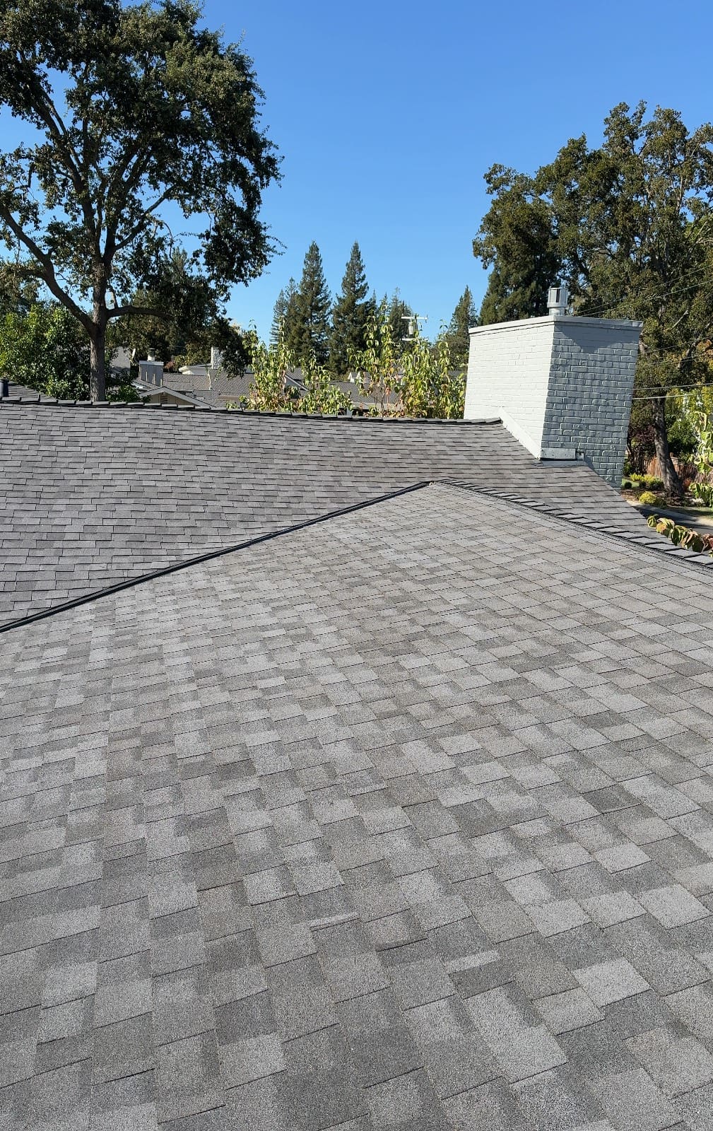 CertainTeed Landmark Pro Solaris in Max Def Moire Black — roof replacement, Alamo (photo 11)
