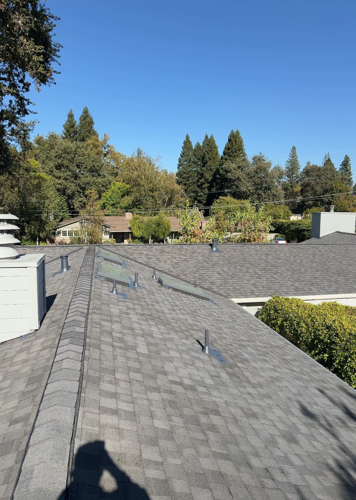 CertainTeed Landmark Pro Solaris in Max Def Moire Black — roof replacement, Alamo