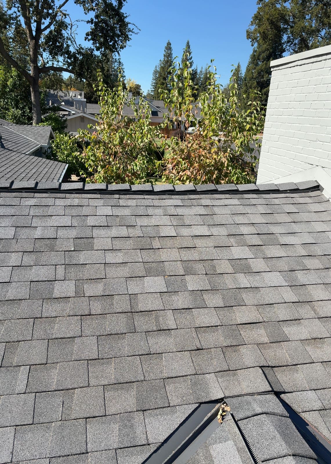 CertainTeed Landmark Pro Solaris in Max Def Moire Black — roof replacement, Alamo (photo 9)
