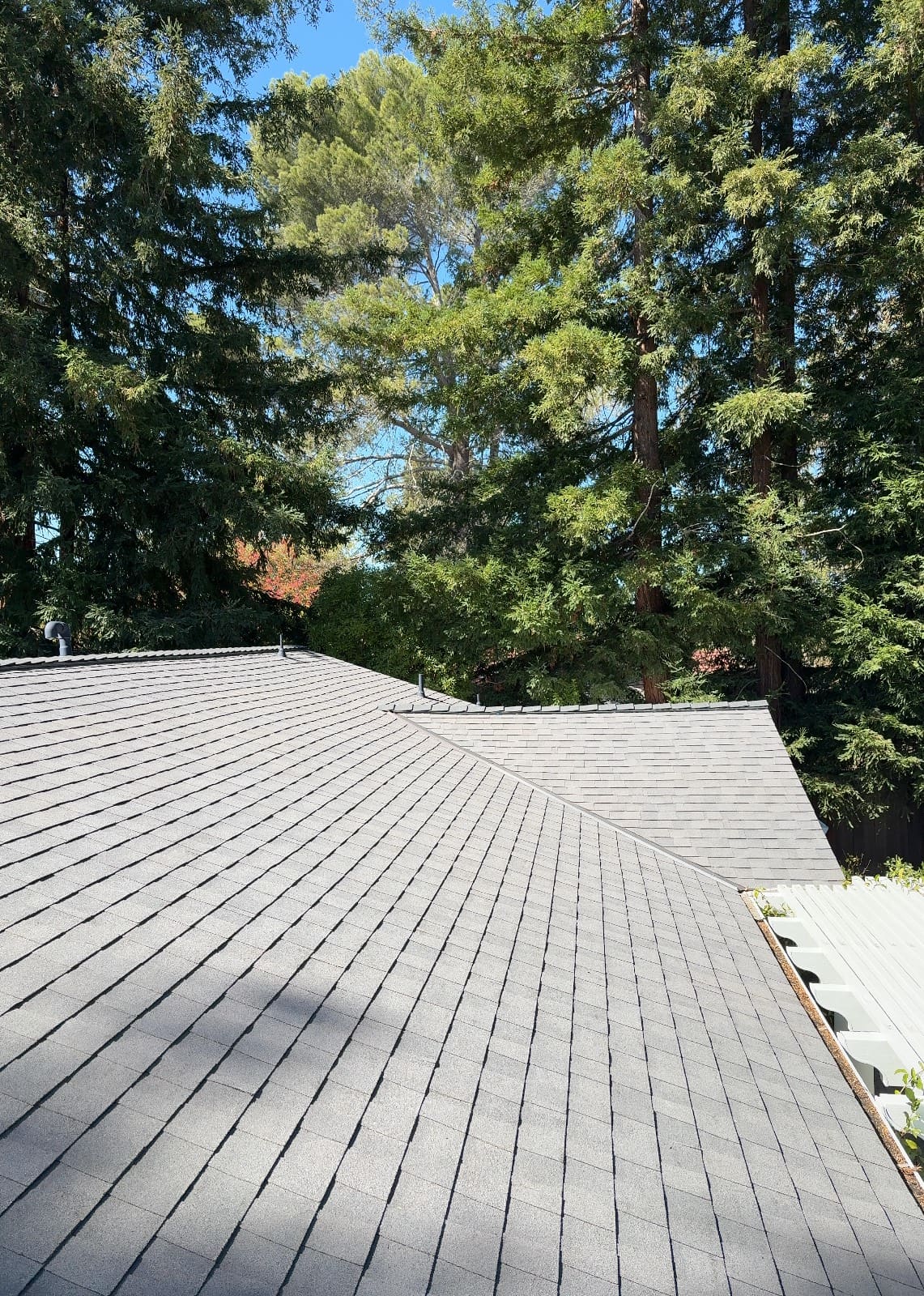 CertainTeed Landmark Solaris in Graphite Gray — roof replacement, Walnut Creek (photo 6)