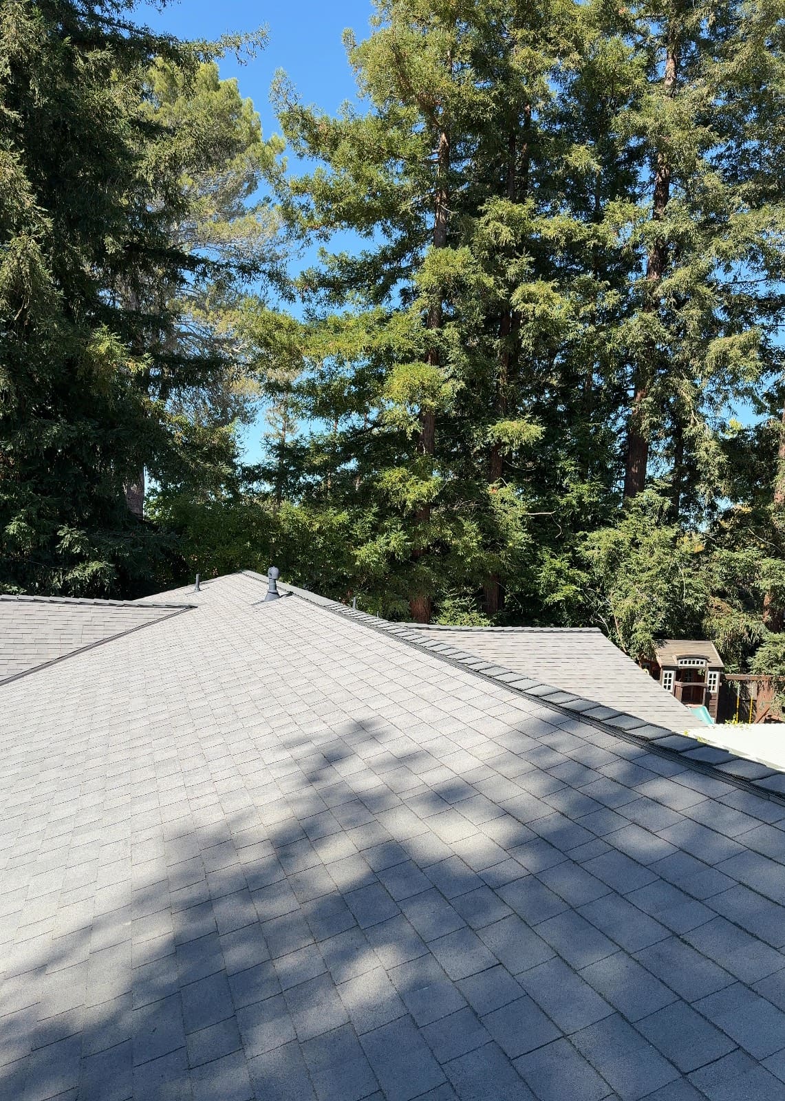 CertainTeed Landmark Solaris in Graphite Gray — roof replacement, Walnut Creek