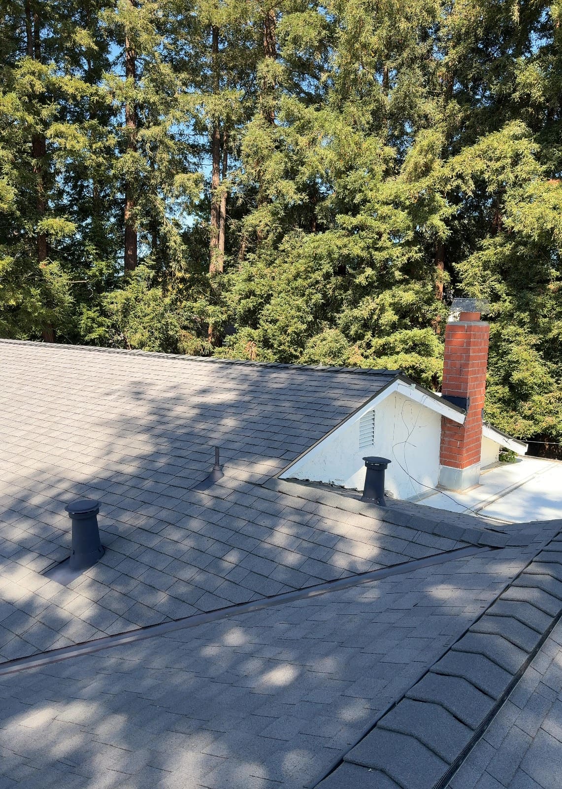 CertainTeed Landmark Solaris in Graphite Gray — roof replacement, Walnut Creek (photo 5)