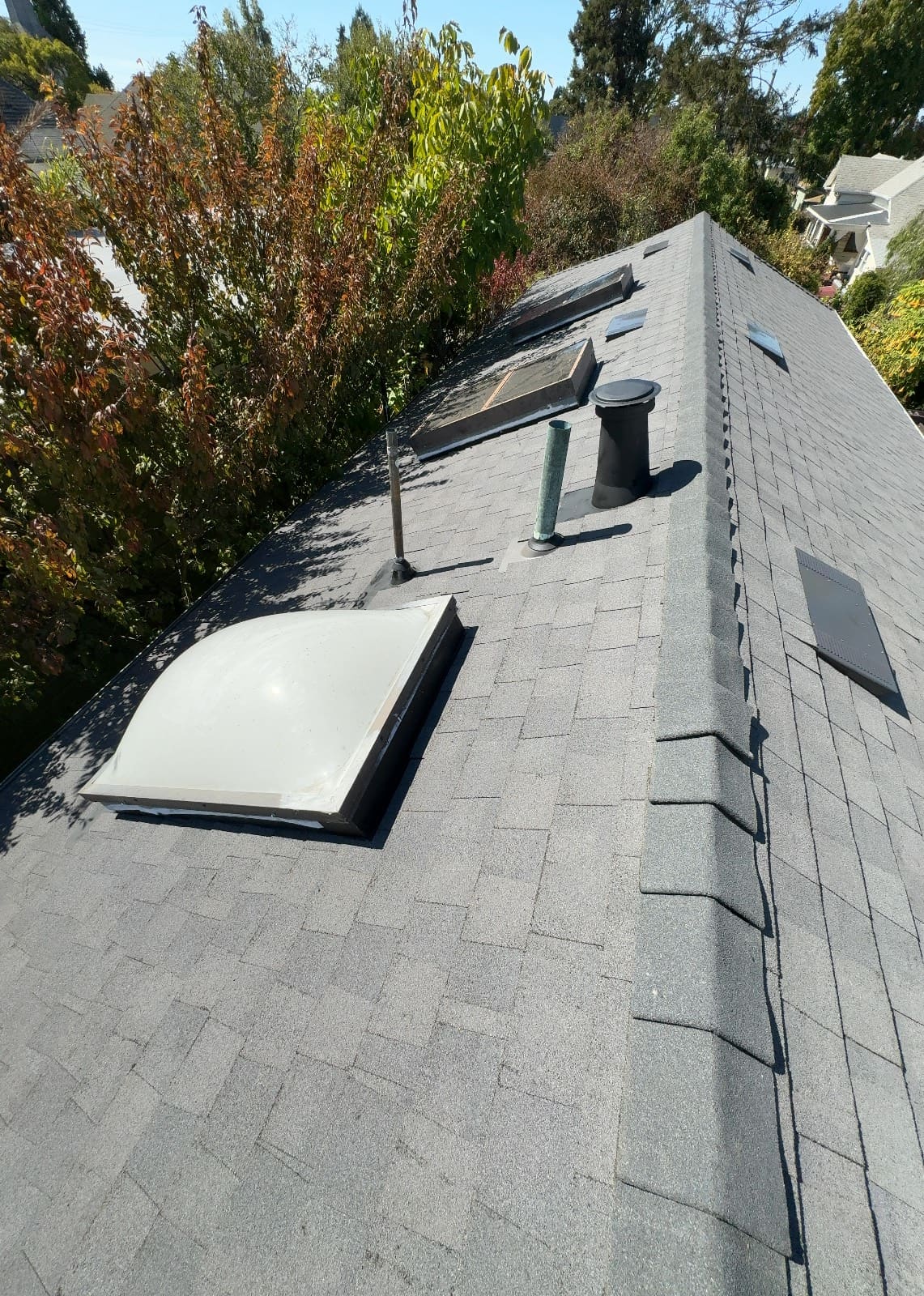 CertainTeed Landmark Solaris in Graphite Gray — roof replacement, Berkeley (photo 14)