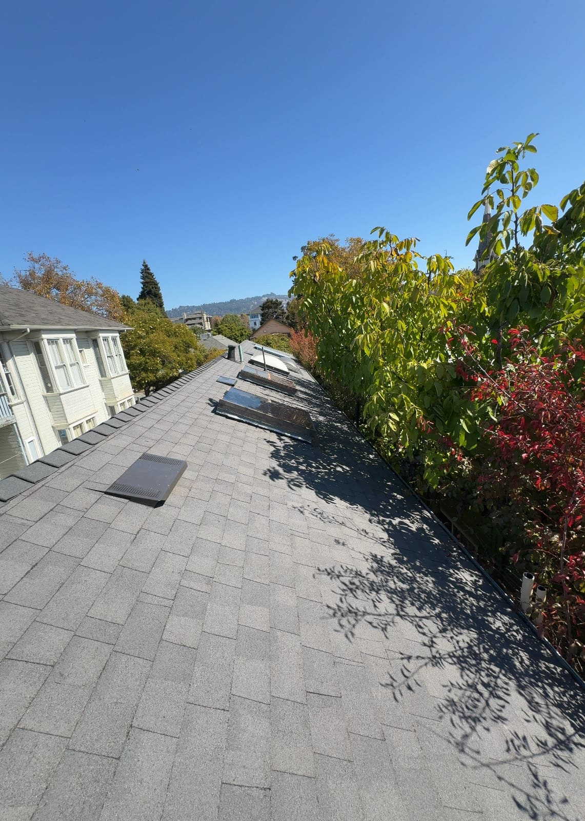 CertainTeed Landmark Solaris in Graphite Gray — roof replacement, Berkeley (photo 2)
