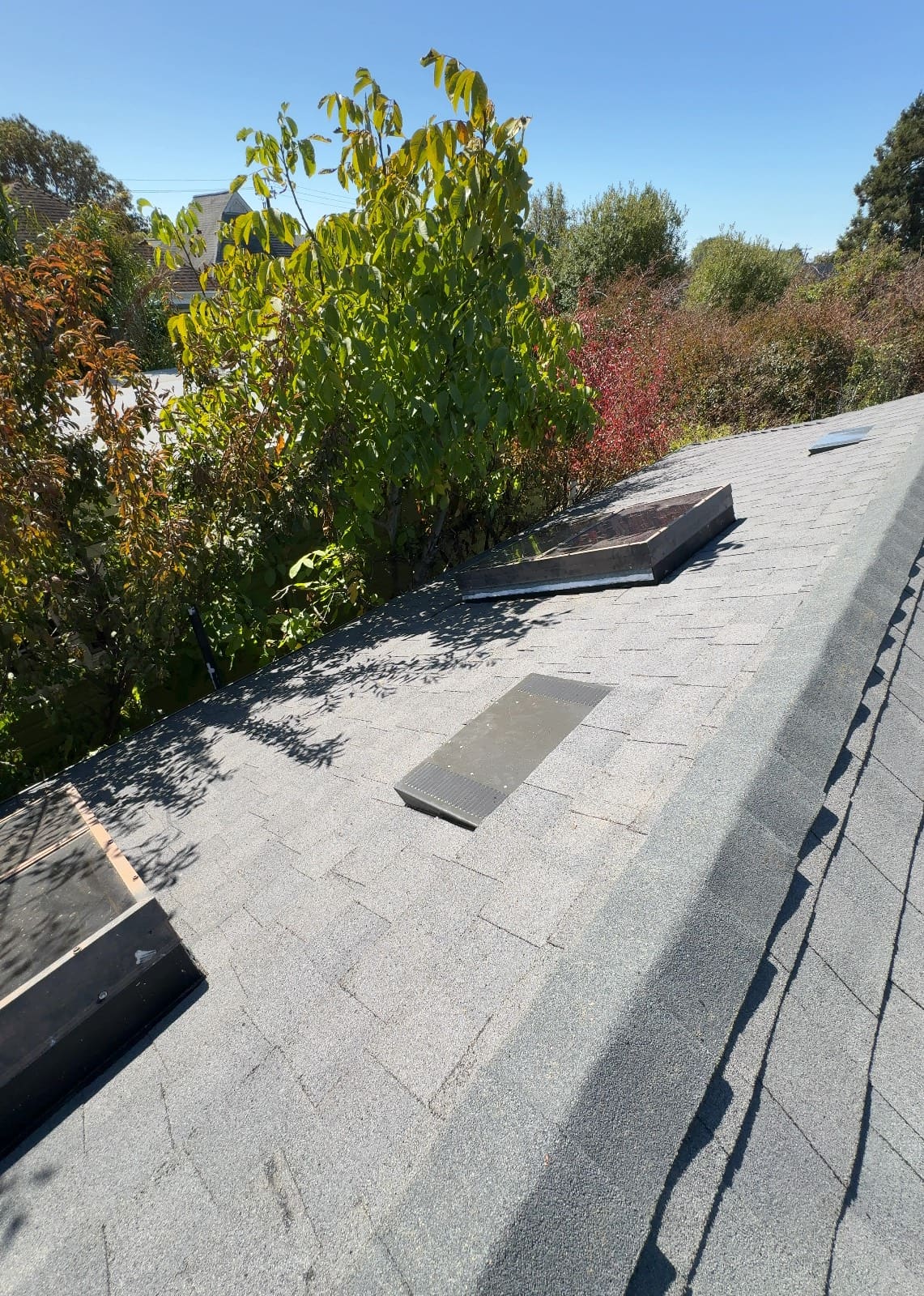 CertainTeed Landmark Solaris in Graphite Gray — roof replacement, Berkeley (photo 8)