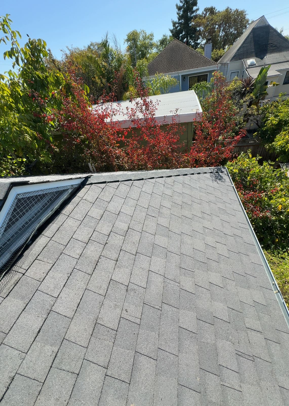 CertainTeed Landmark Solaris in Graphite Gray — roof replacement, Berkeley (photo 9)