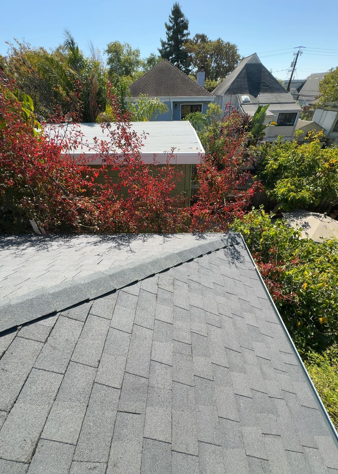 CertainTeed Landmark Solaris in Graphite Gray — roof replacement, Berkeley (photo 10)