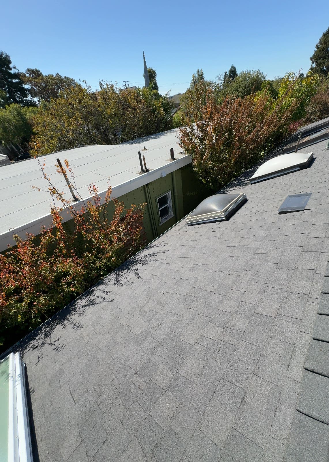 CertainTeed Landmark Solaris in Graphite Gray — roof replacement, Berkeley (photo 3)
