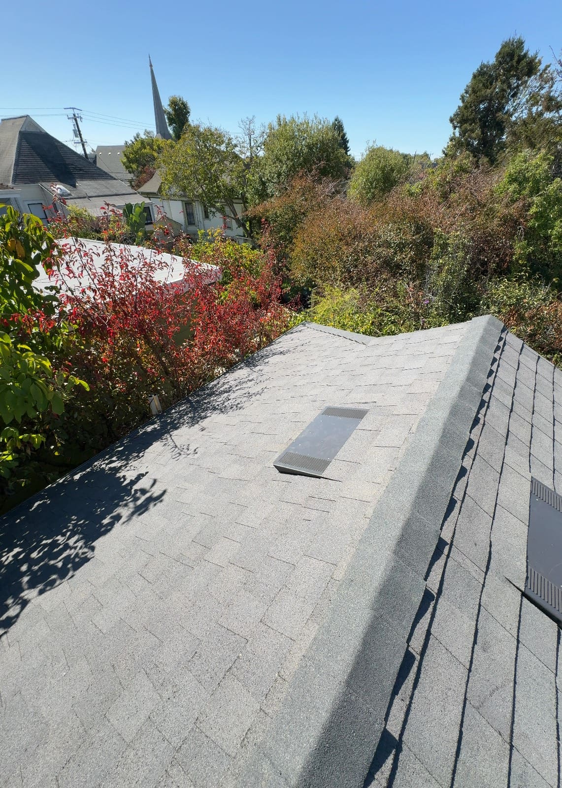CertainTeed Landmark Solaris in Graphite Gray — roof replacement, Berkeley (photo 4)