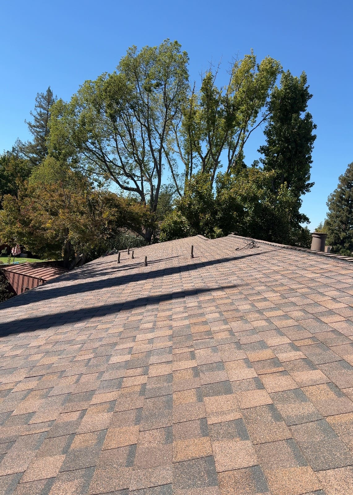 CertainTeed Landmark Pro Solaris in Max Def Burnt Sienna — roof replacement, Walnut Creek (photo 22)