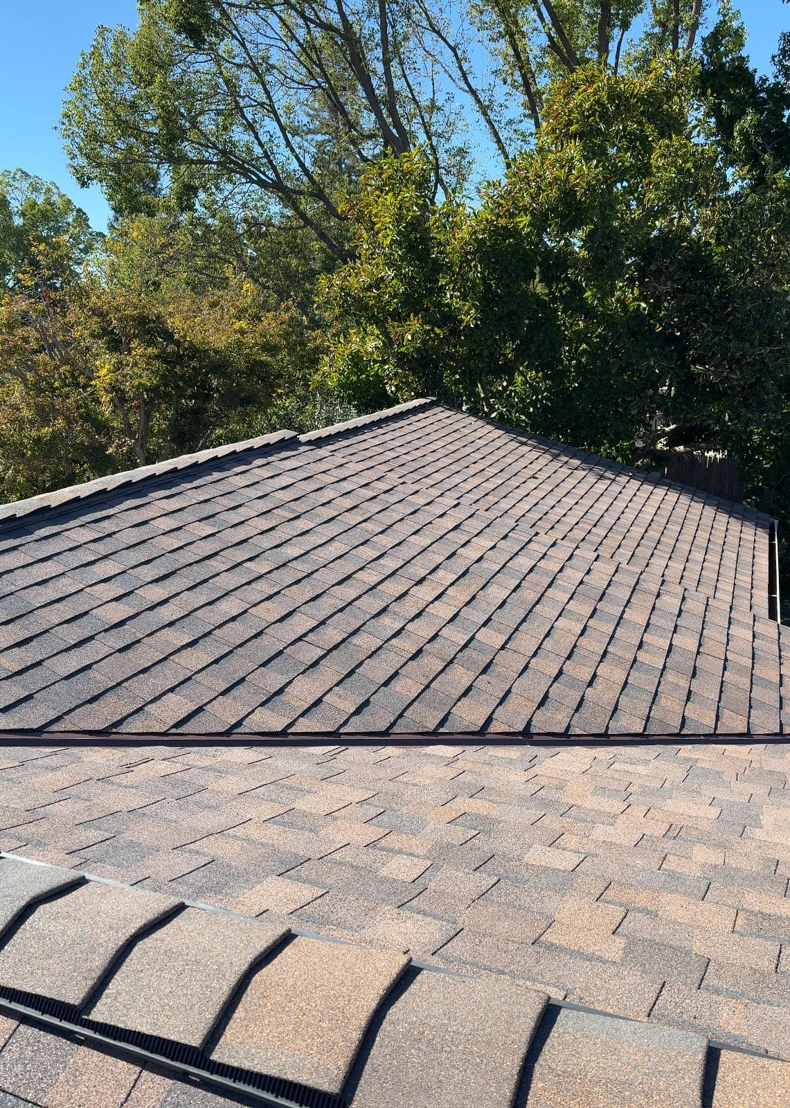 CertainTeed Landmark Pro Solaris in Max Def Burnt Sienna — roof replacement, Walnut Creek (photo 21)