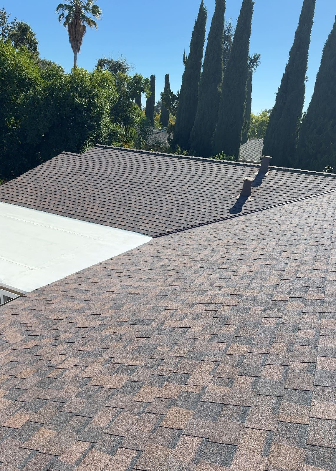 CertainTeed Landmark Pro Solaris in Max Def Burnt Sienna — roof replacement, Walnut Creek (photo 23)