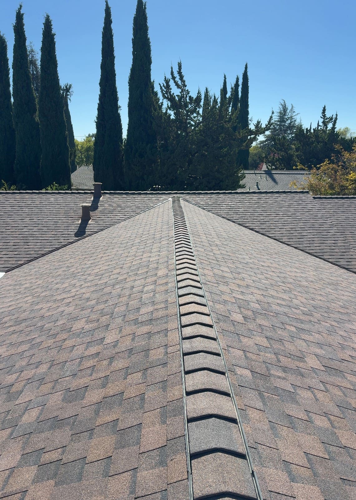CertainTeed Landmark Pro Solaris in Max Def Burnt Sienna — roof replacement, Walnut Creek (photo 9)
