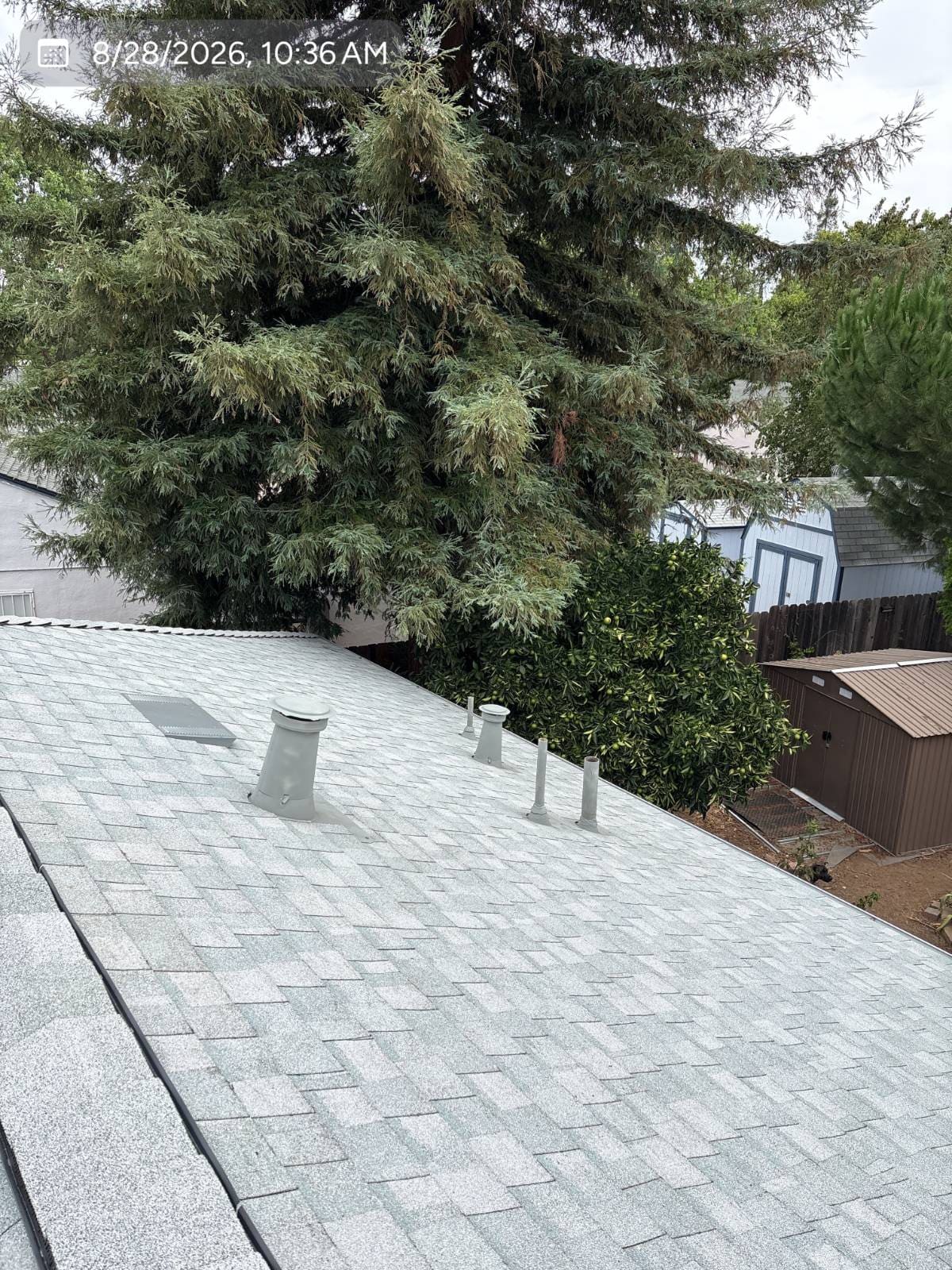 CertainTeed Landmark Pro Solaris in Silver Birch — roof replacement, Concord (photo 11)