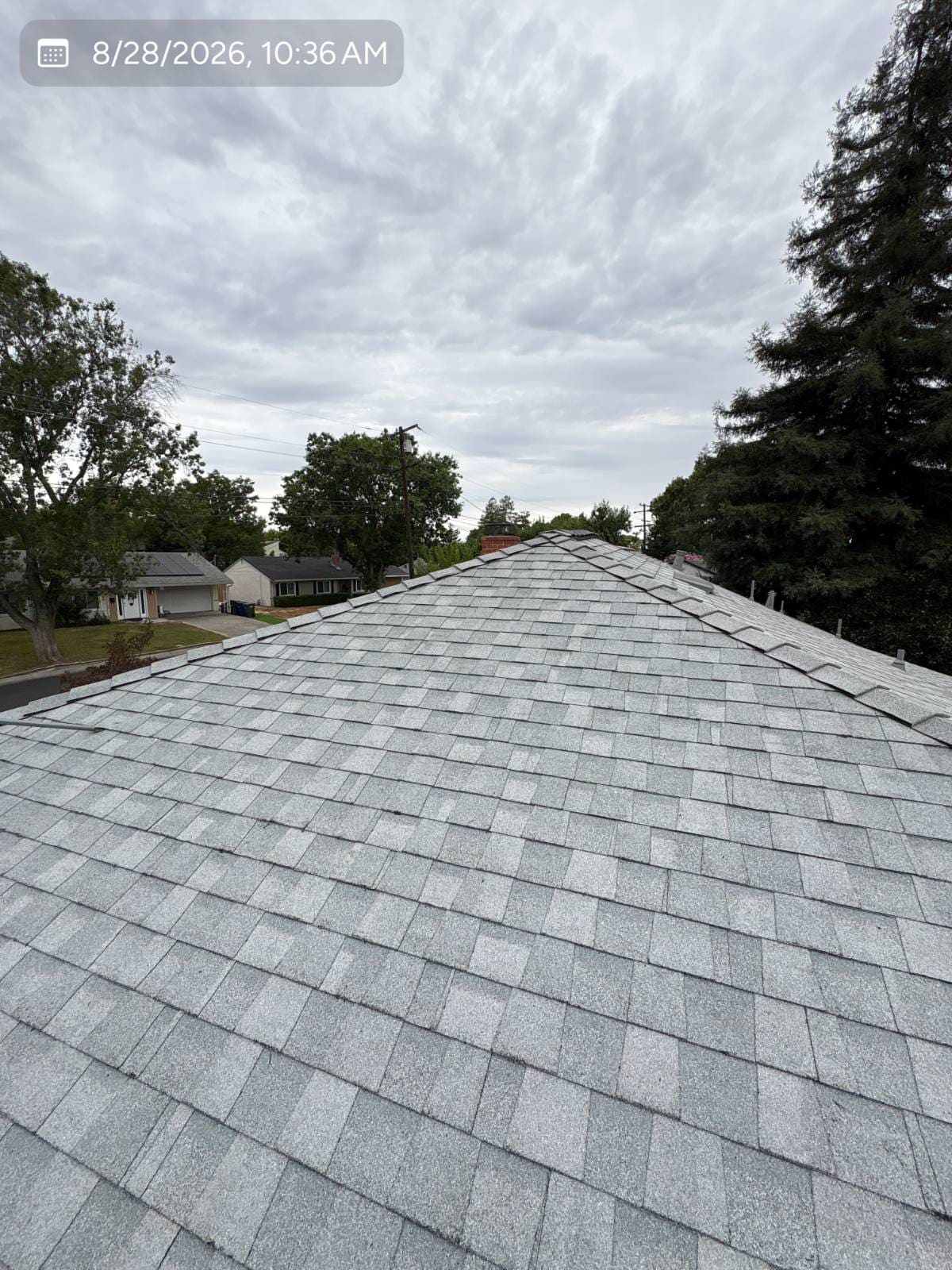 CertainTeed Landmark Pro Solaris in Silver Birch — roof replacement, Concord (photo 3)