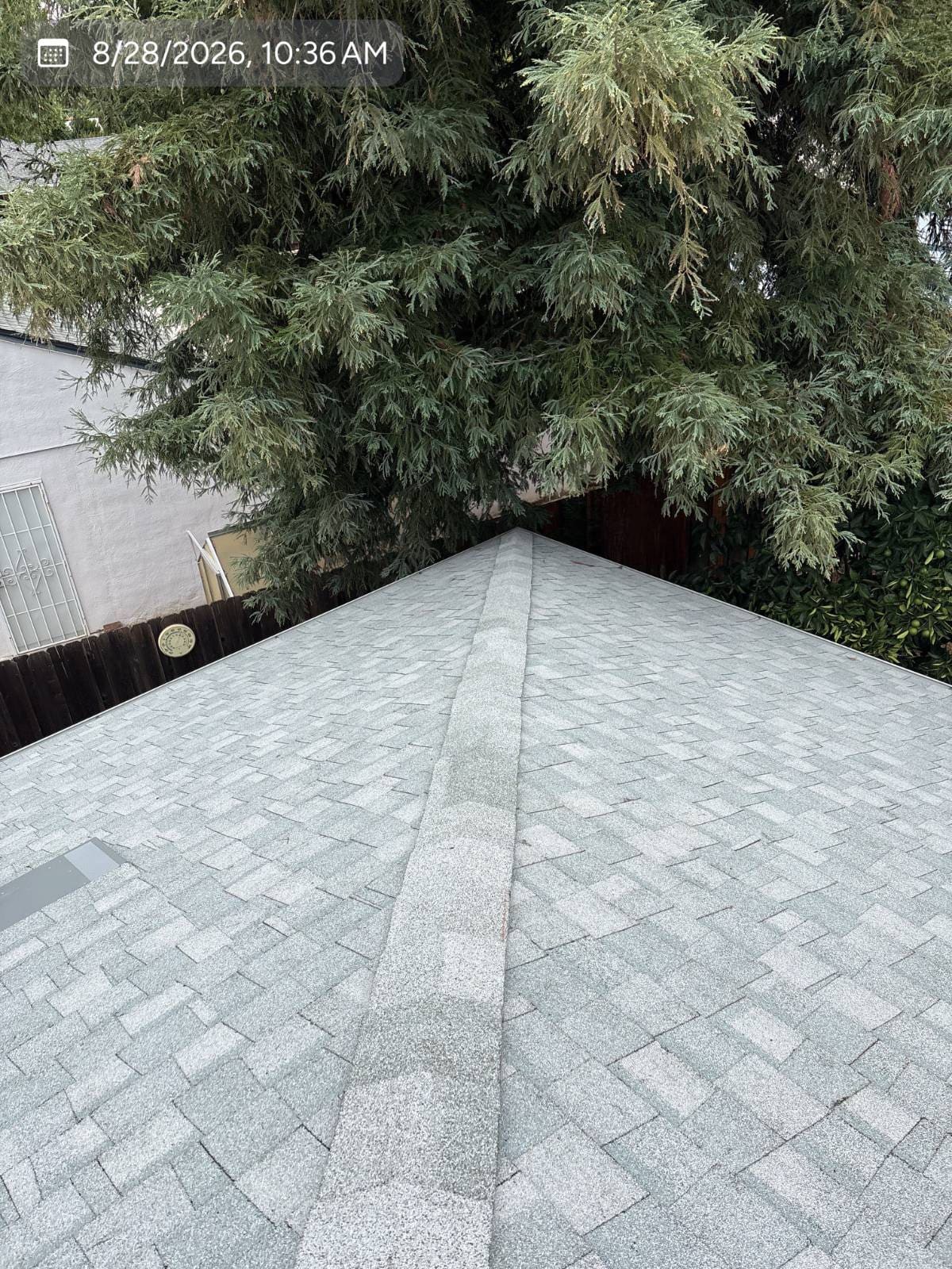CertainTeed Landmark Pro Solaris in Silver Birch — roof replacement, Concord (photo 12)