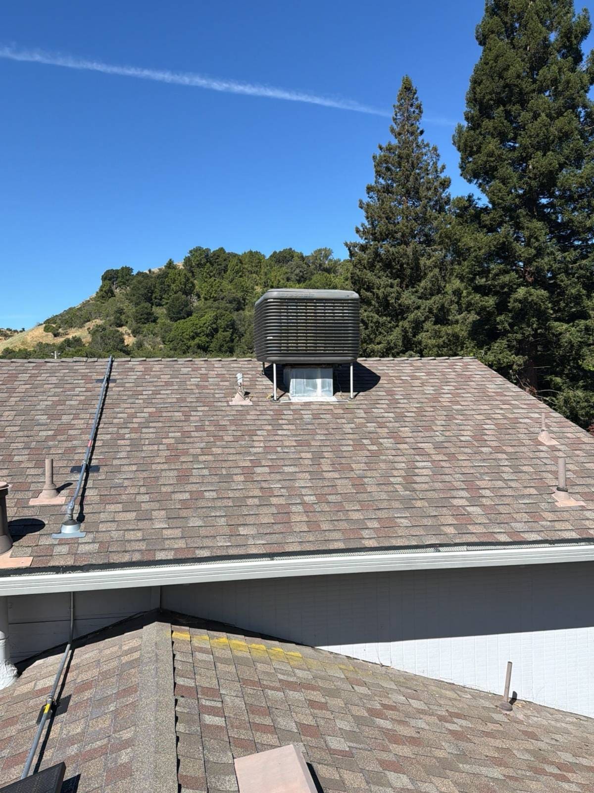 CertainTeed Landmark Solaris in Mojave Tan — roof replacement, Moraga (photo 8)