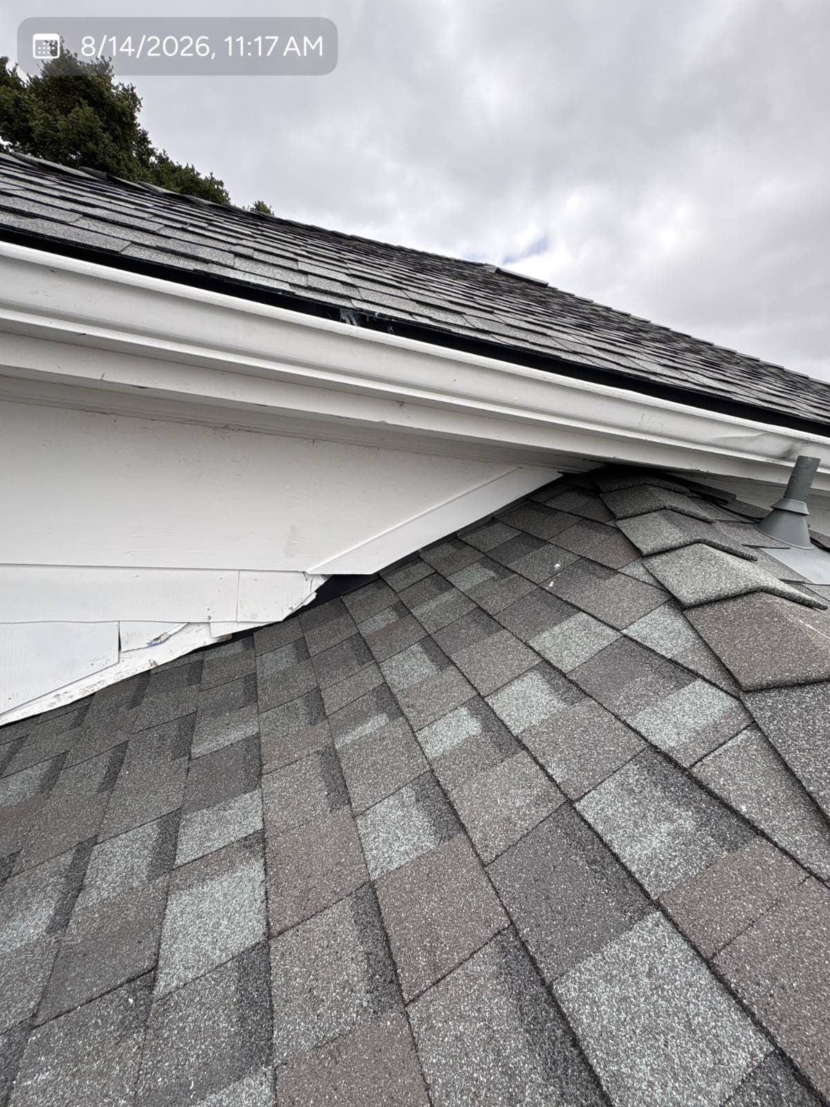 CertainTeed Landmark Pro Solaris in Max Def Georgetown Gray — roof replacement, Martinez (photo 9)